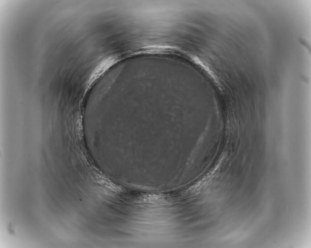 X0000098071362200804181121