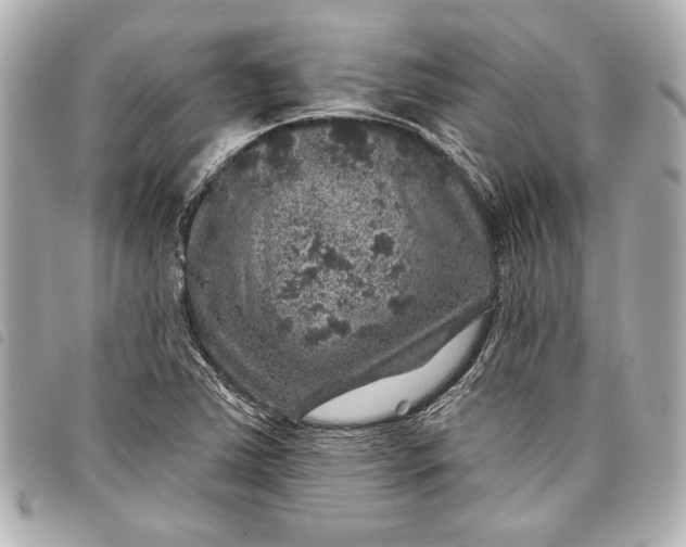 X0000098071363200804181121