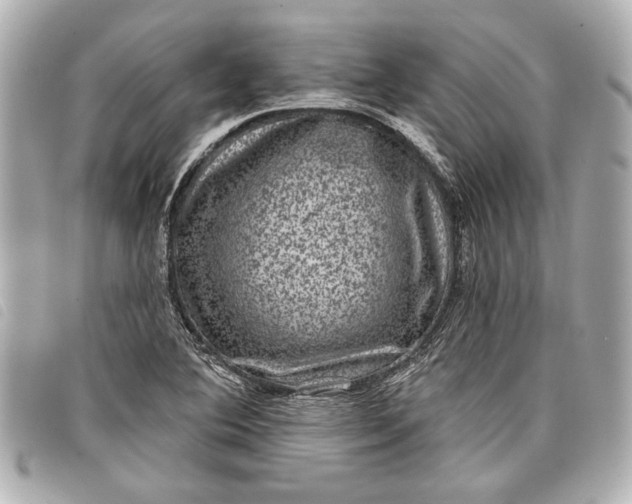 X0000098071364200804181121