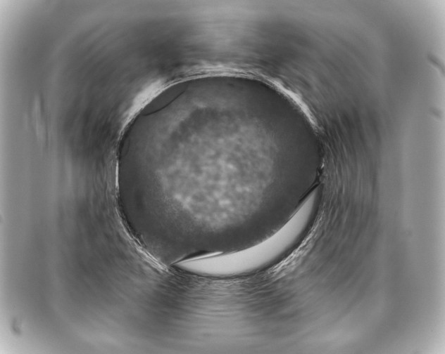 X0000098071365200804181121