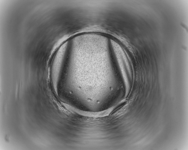 X0000098071366200804181121