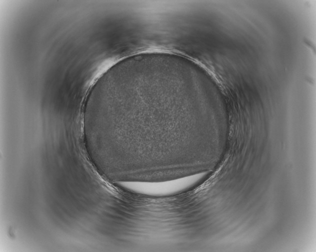 X0000098071367200804181121