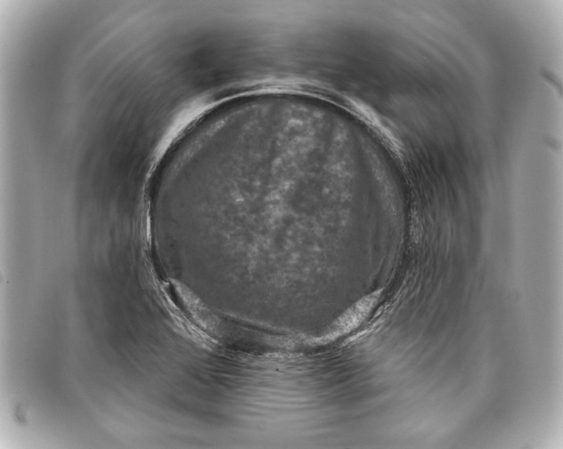 X0000098071368200804181121