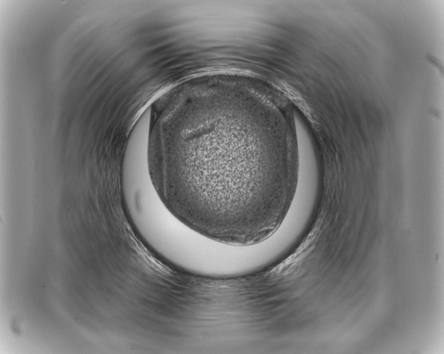 X0000098071369200804181121