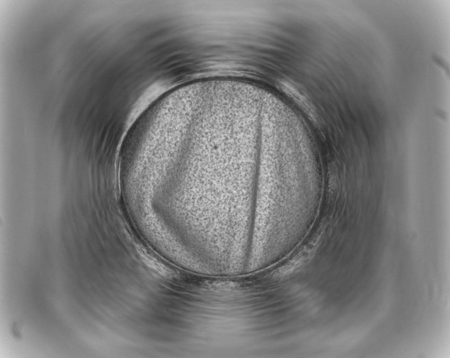 X0000098071370200804181121