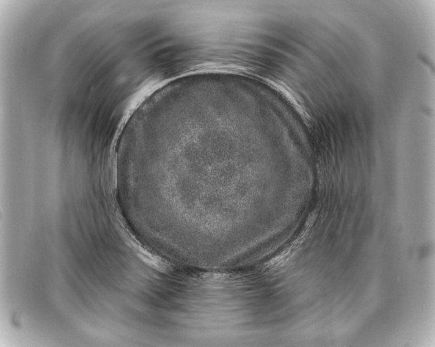 X0000098071371200804181121