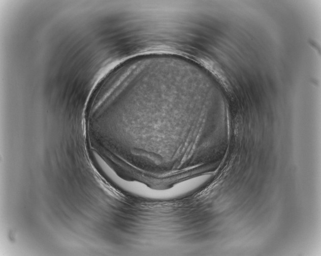 X0000098071372200804181121