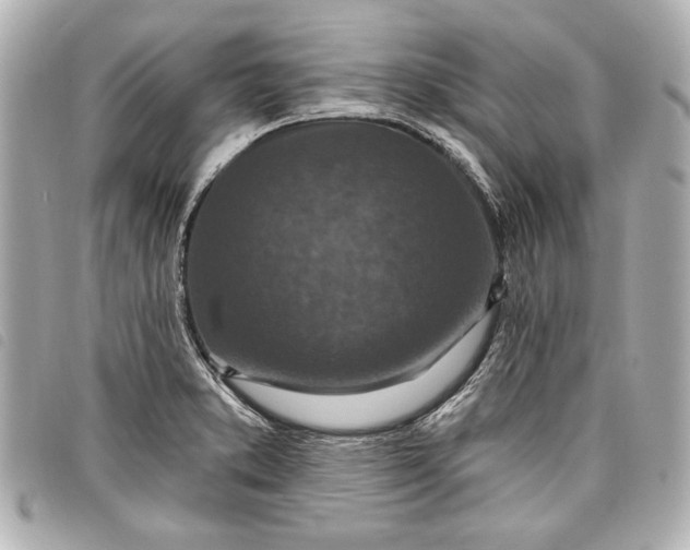 X0000098071373200804181121