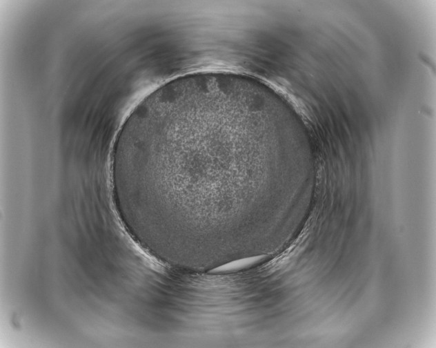 X0000098071375200804181121