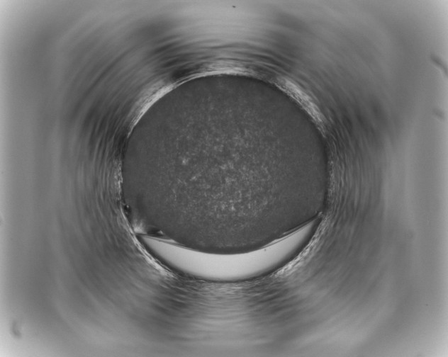 X0000098071377200804181121