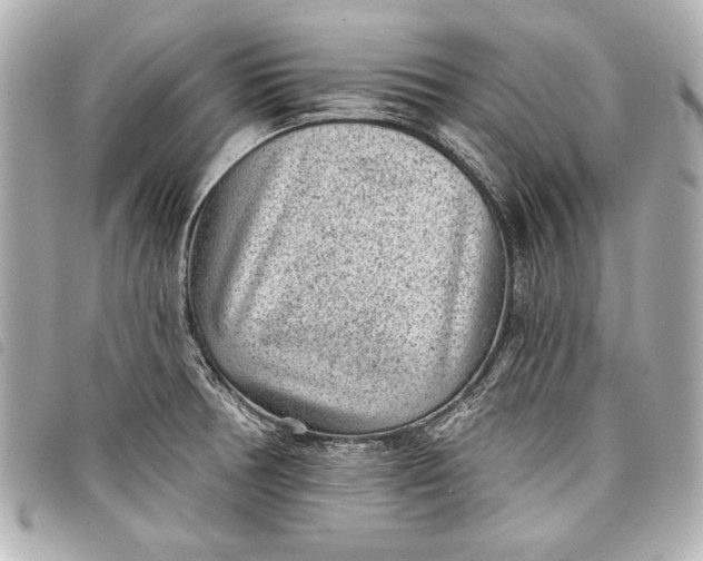 X0000098071378200804181121