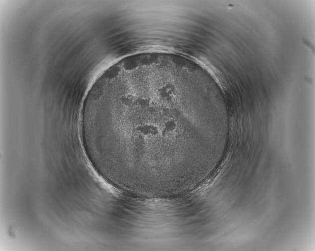 X0000098071379200804181121