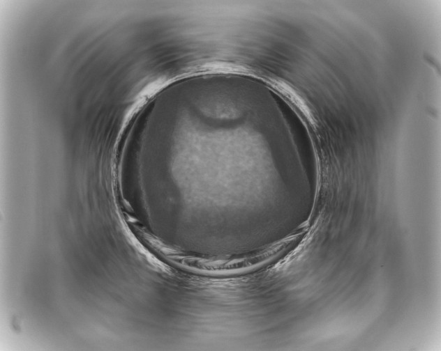 X0000098071381200804181121