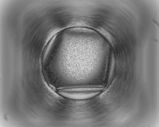 X0000098071382200804181121