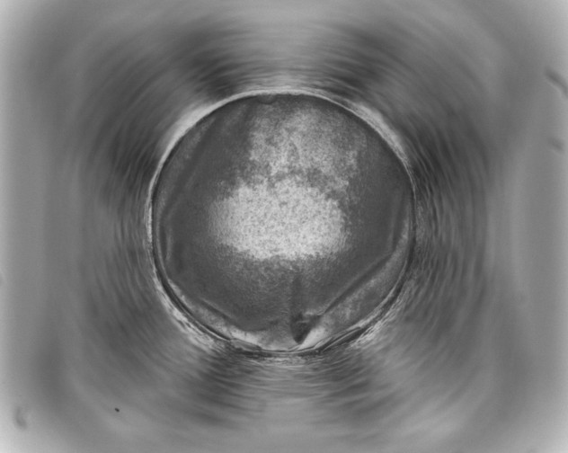 X0000098071388200804181121