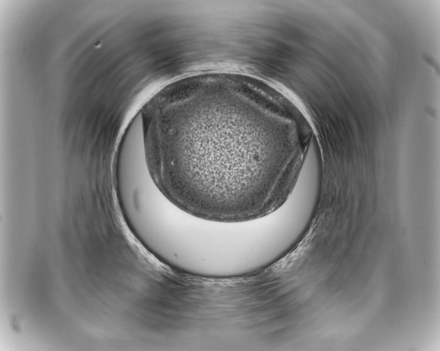 X0000098071389200804181121