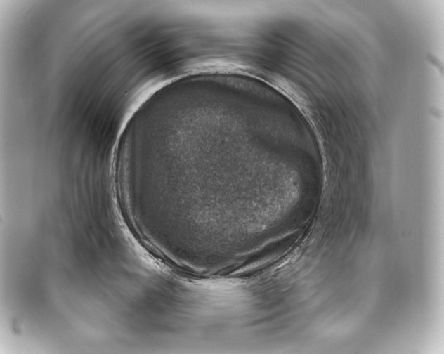 X0000098071392200804181121