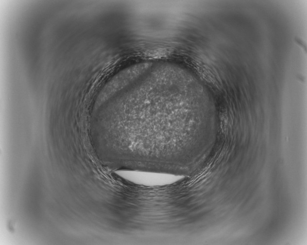 X0000098071393200804181120