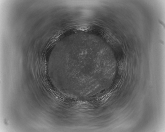 X0000098071394200804181120