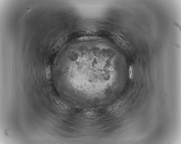 X0000098071395200804181120