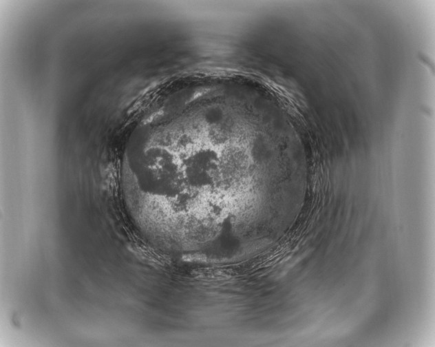 X0000098071397200804181120