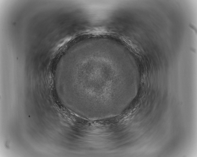 X0000098071398200804181120