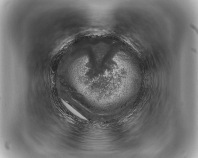 X0000098071399200804181120