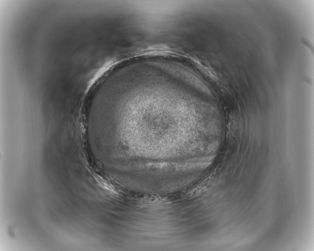 X0000098071400200804181120