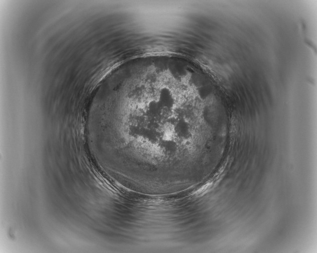 X0000098071401200804181120