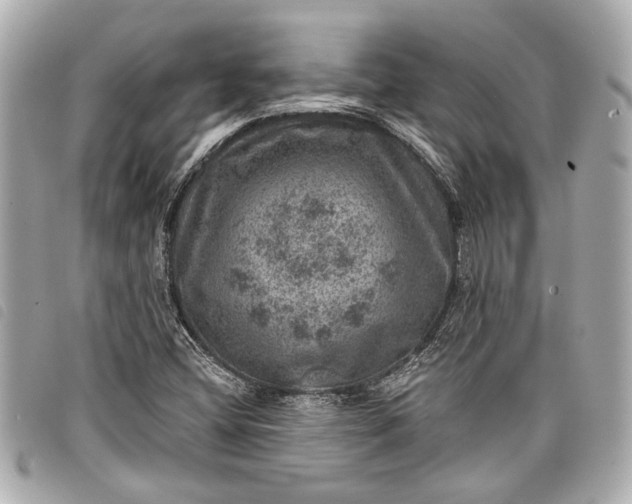 X0000098071404200804181120