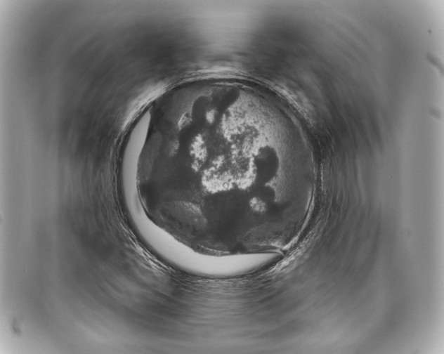 X0000098071405200804181120