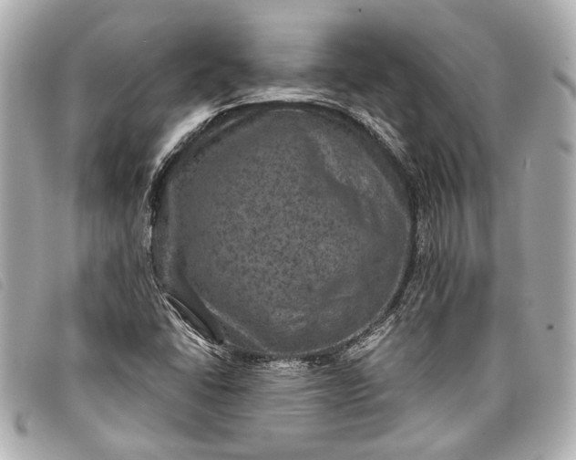 X0000098071406200804181120