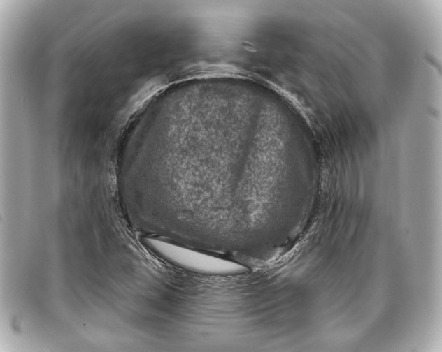 X0000098071407200804181120