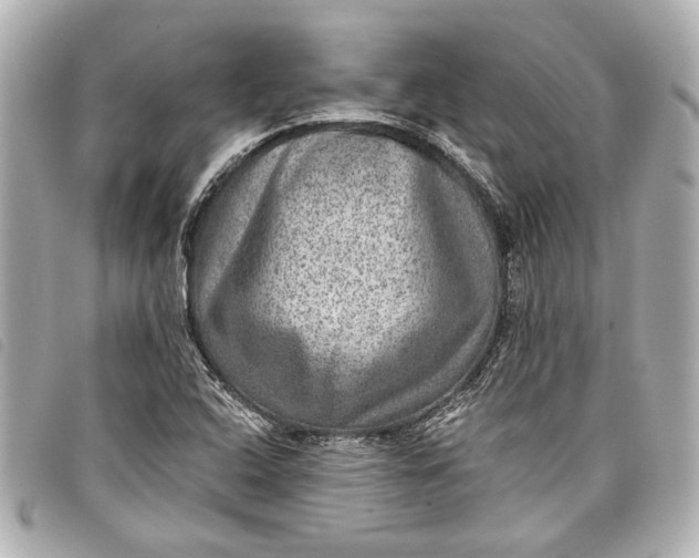 X0000098071408200804181120