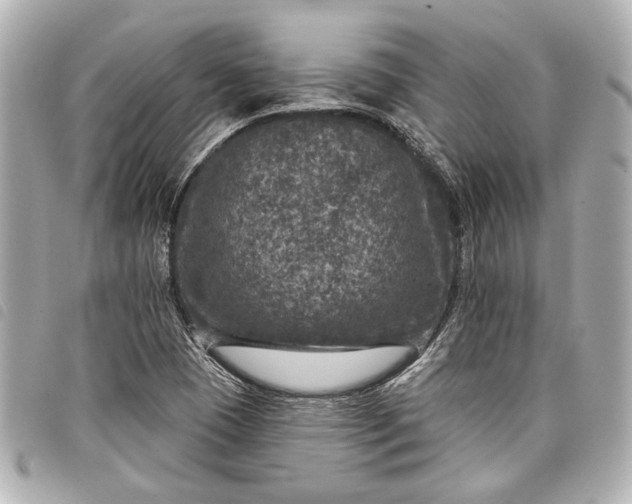 X0000098071409200804181120