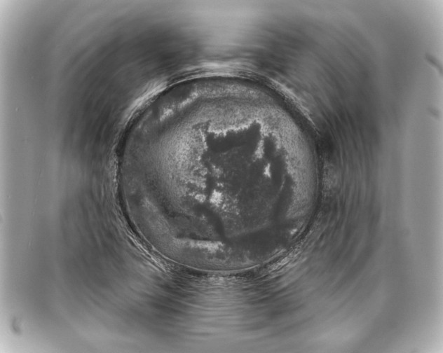 X0000098071411200804181120