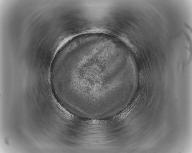 X0000098071412200804181120