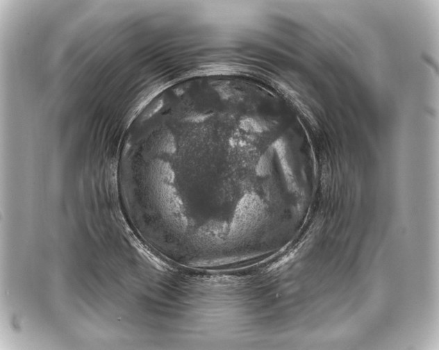 X0000098071417200804181120