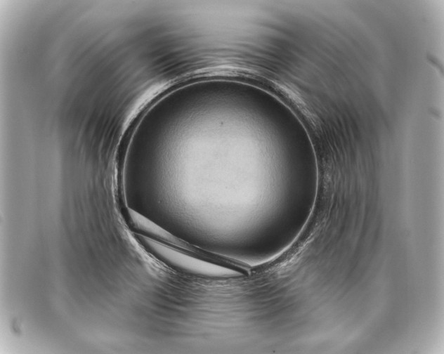 X0000098071418200804181120