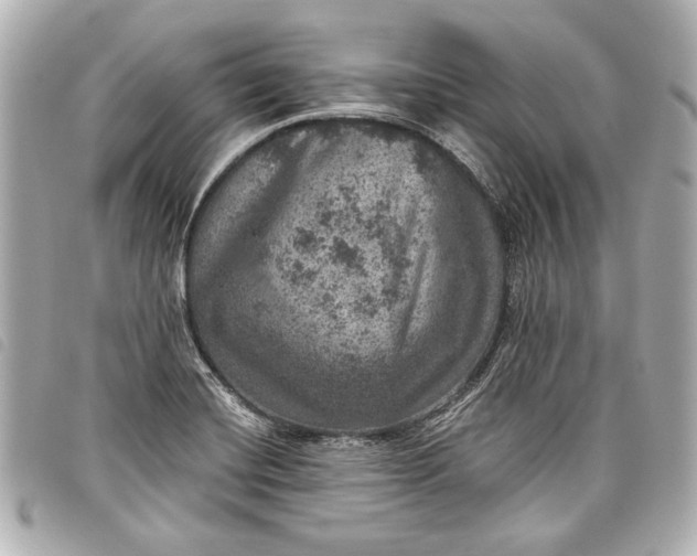 X0000098071420200804181121