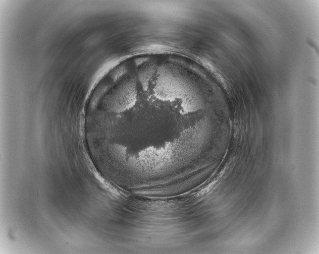 X0000098071421200804181121