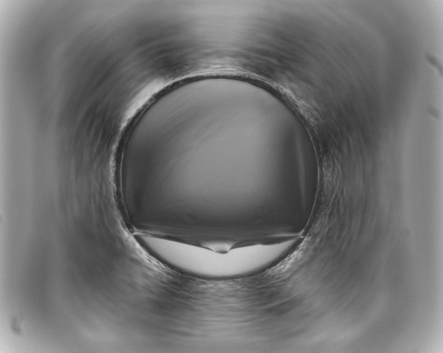 X0000098071422200804181121