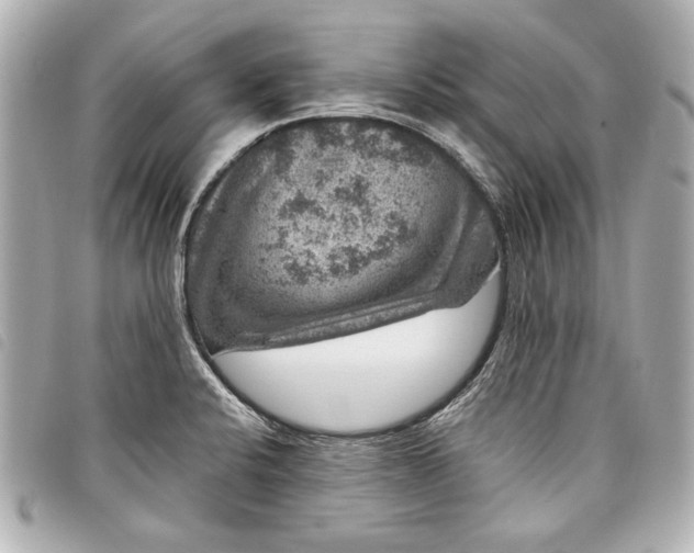 X0000098071424200804181121