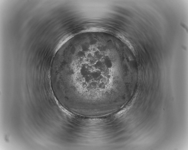 X0000098071425200804181121