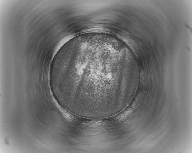 X0000098071426200804181121