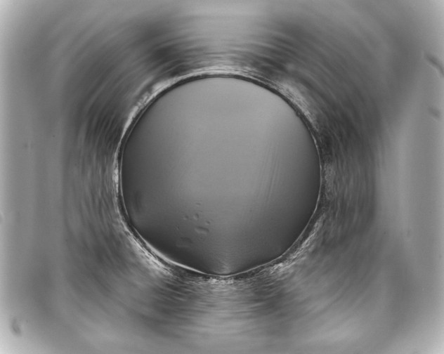 X0000098071428200804181121