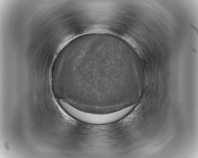 X0000098071430200804181121