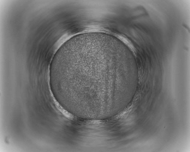 X0000098071431200804181121