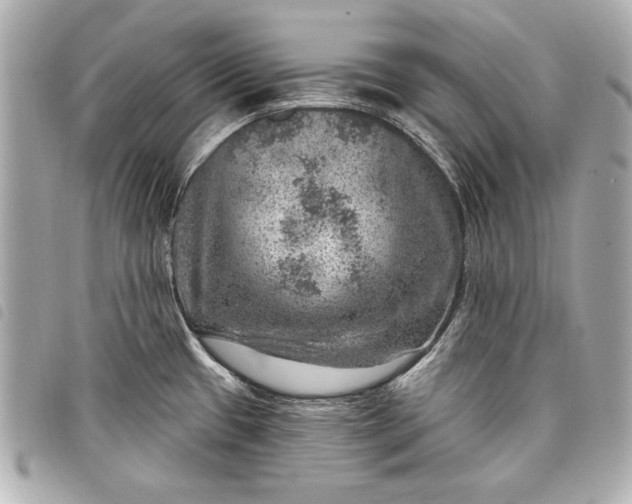 X0000098071433200804181121