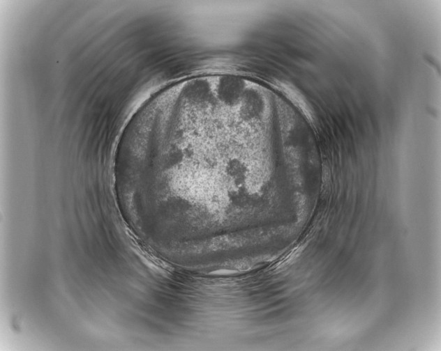 X0000098071435200804181121